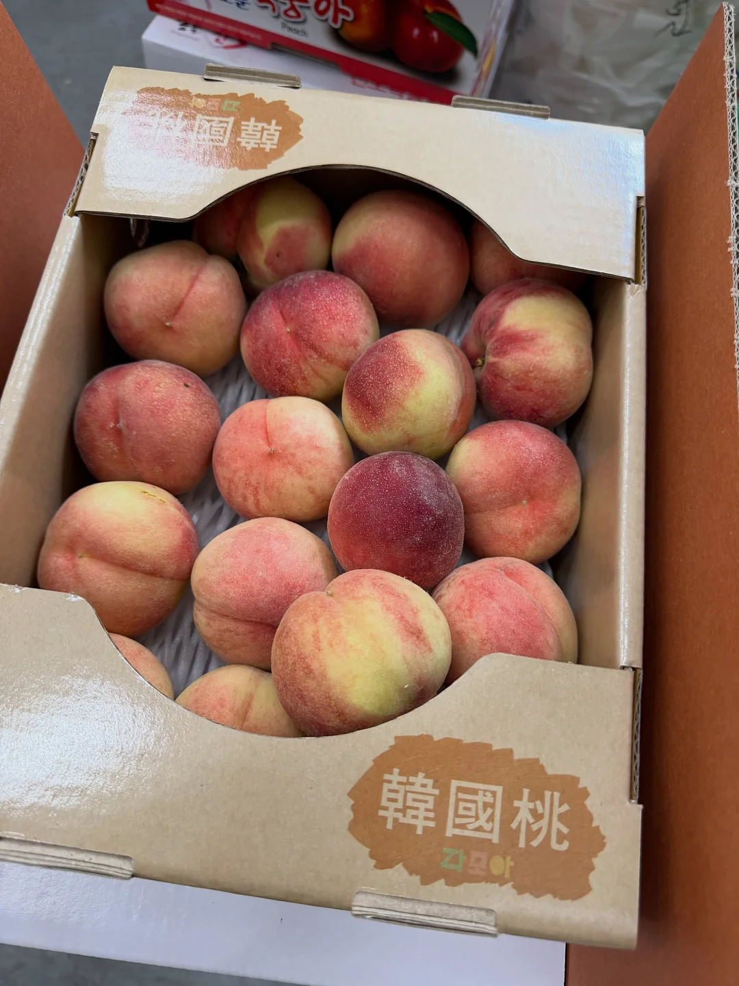요거트 식빵 레시피 5