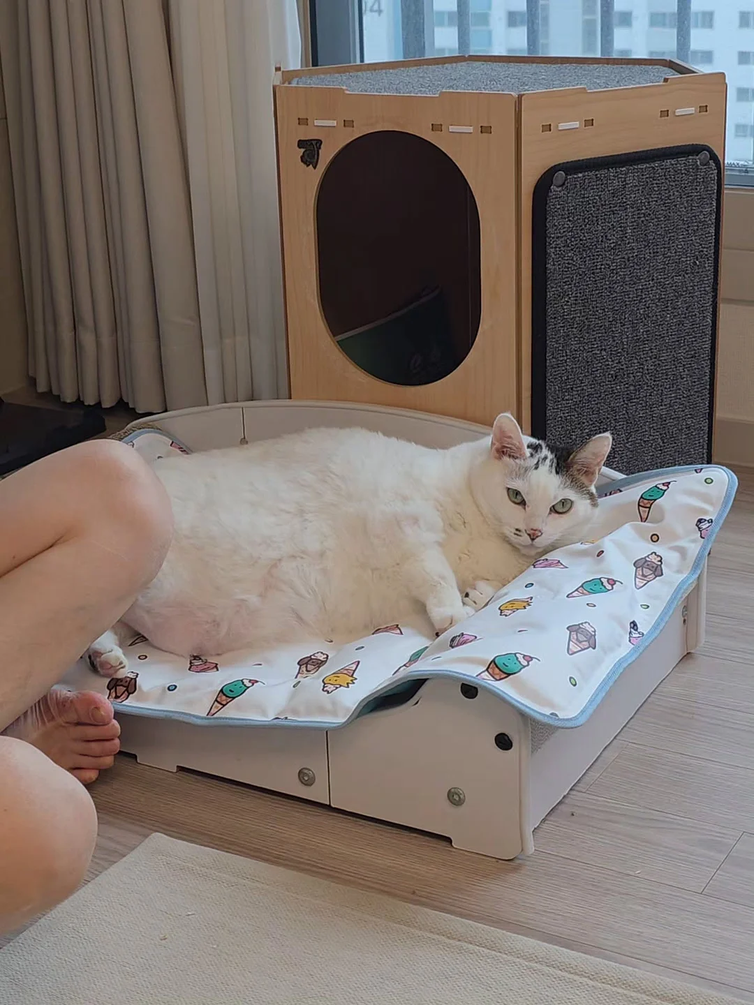 초등 서술형 루틴 3