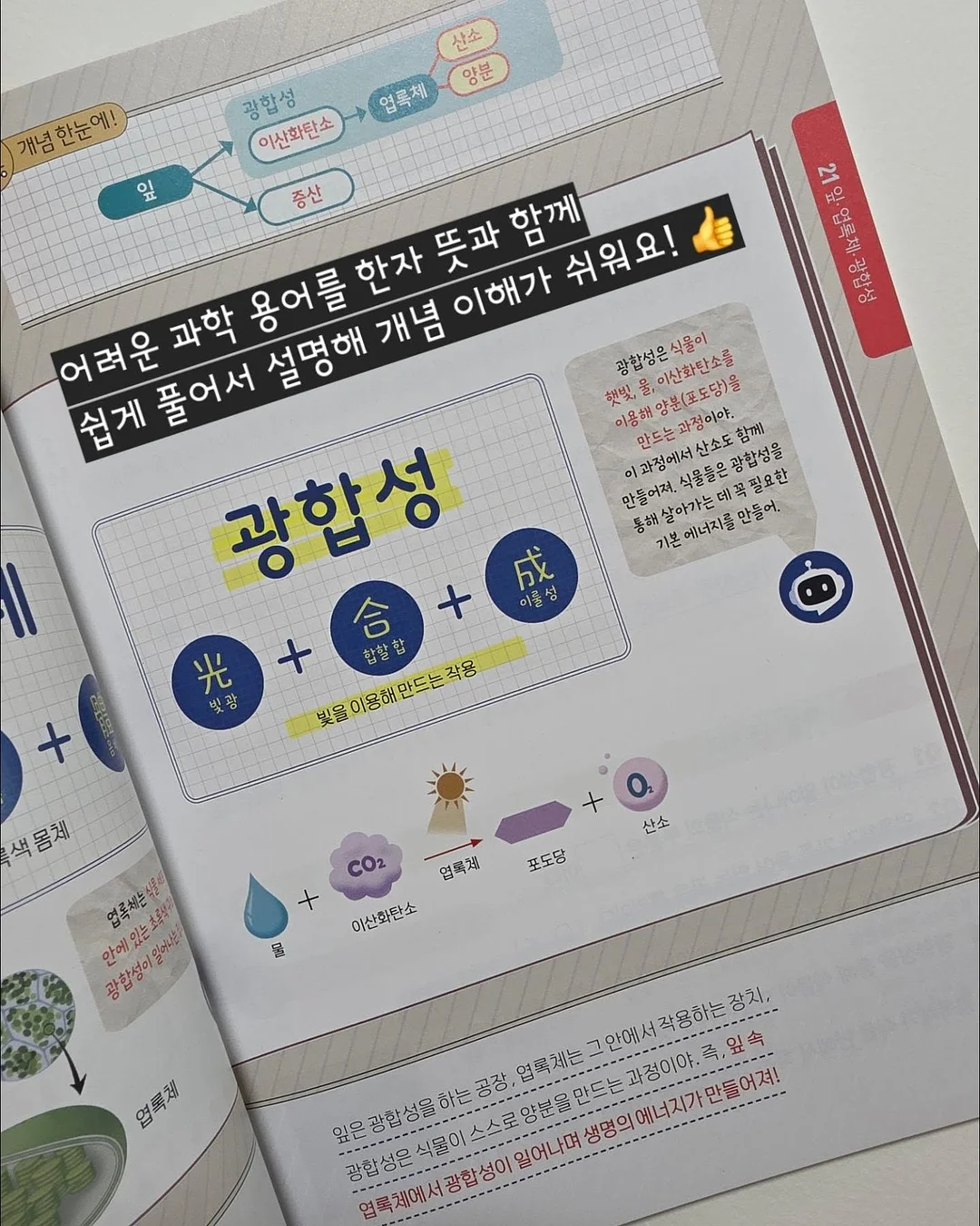 살안타 니트 숏 크롭 가디건 7