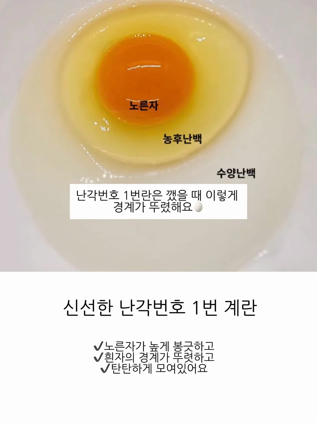 코튼 슬럽 니트 팬츠 9