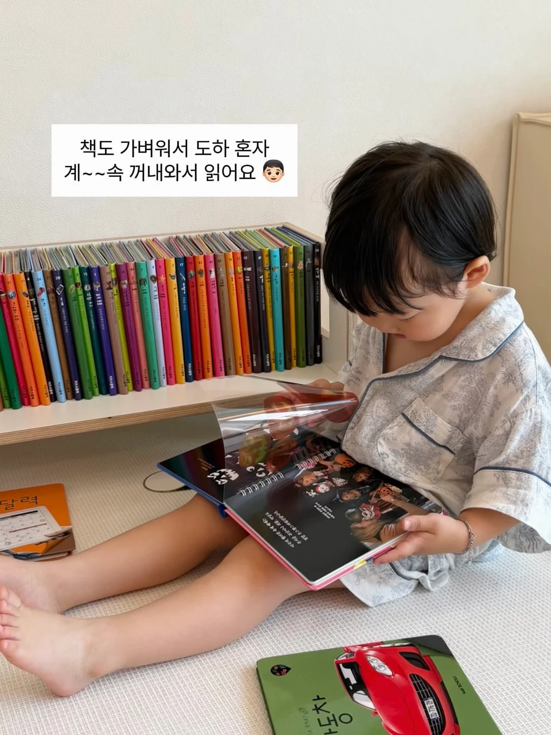 라코스테 울 가디건 14