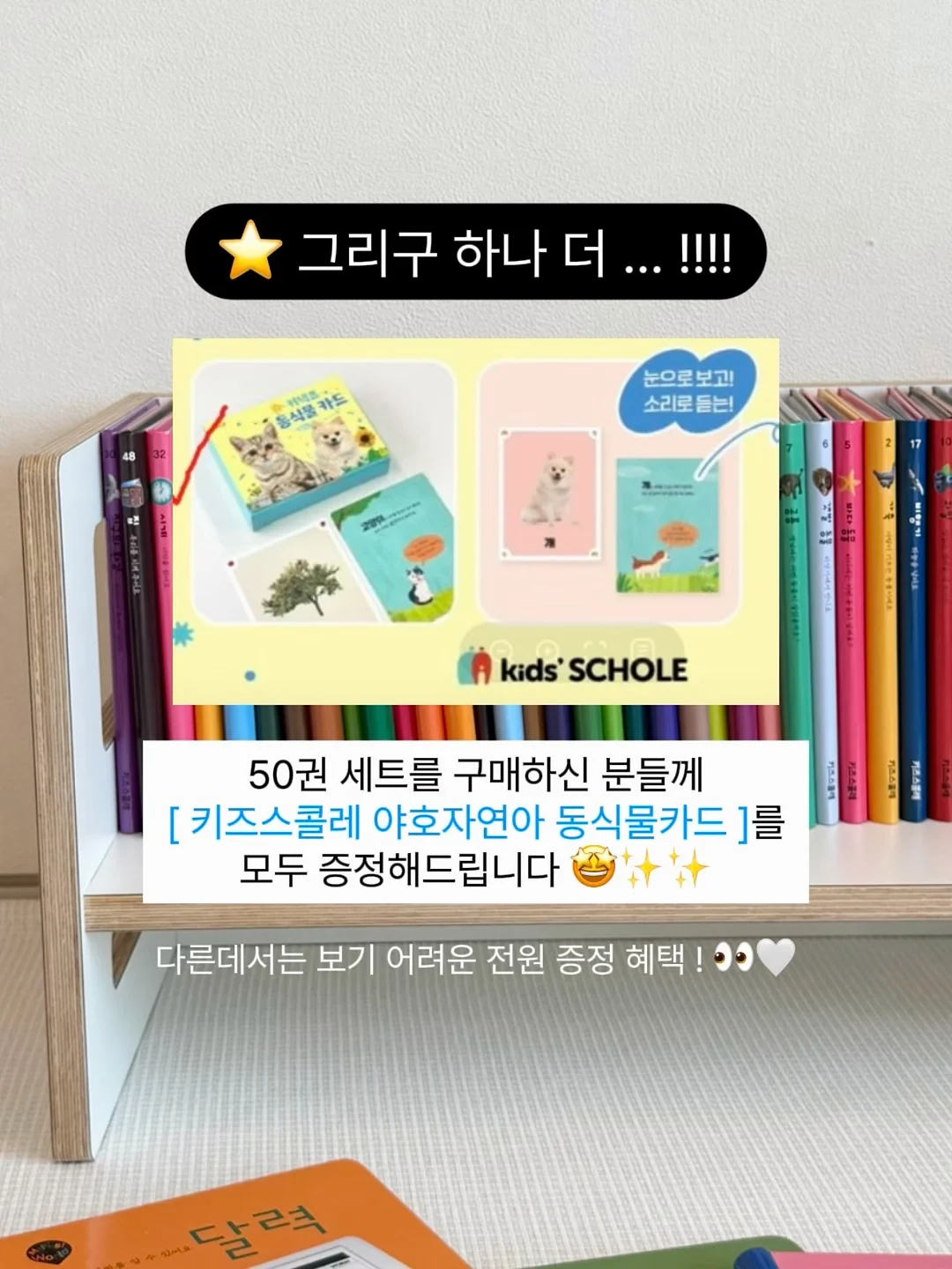 라코스테 울 가디건 4