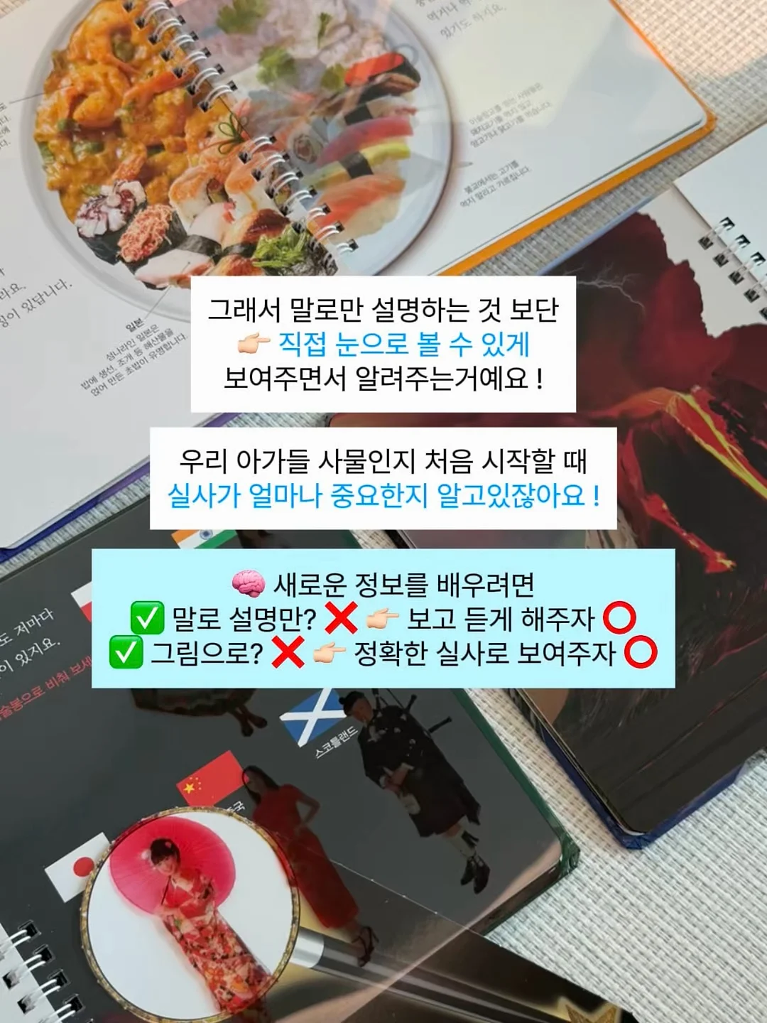 라코스테 울 가디건 8
