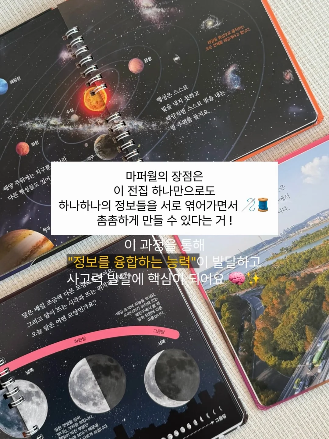 라코스테 울 가디건 9