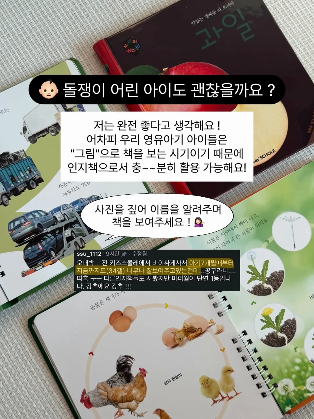 라코스테 울 가디건 10