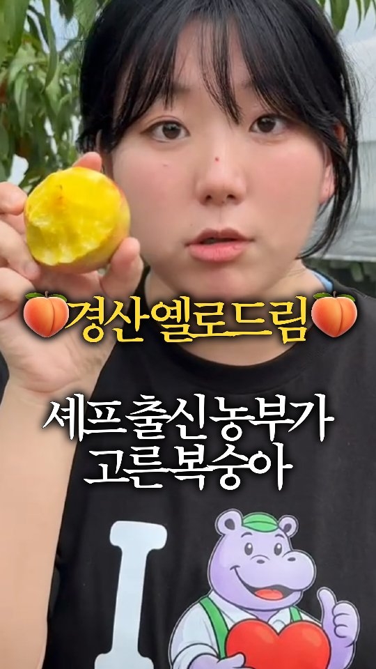 이브온 슬리브커버