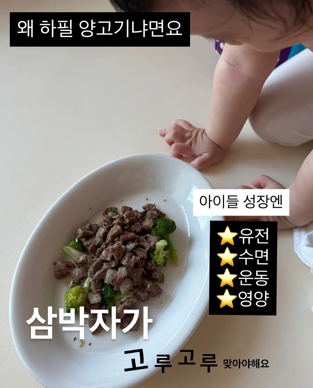 엘로디 아기 가방 4
