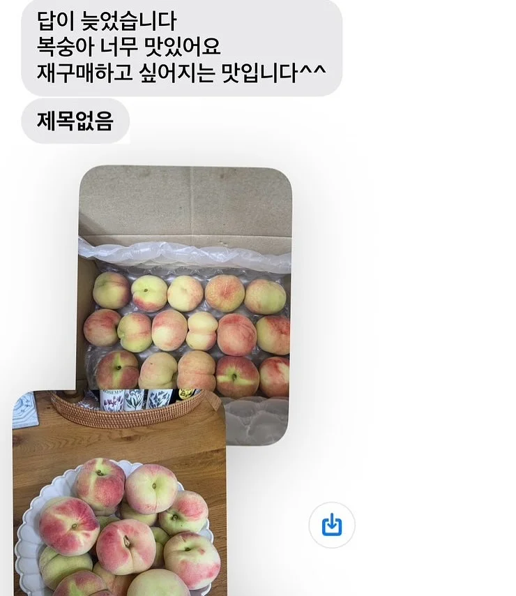 목련꽃 파이 3