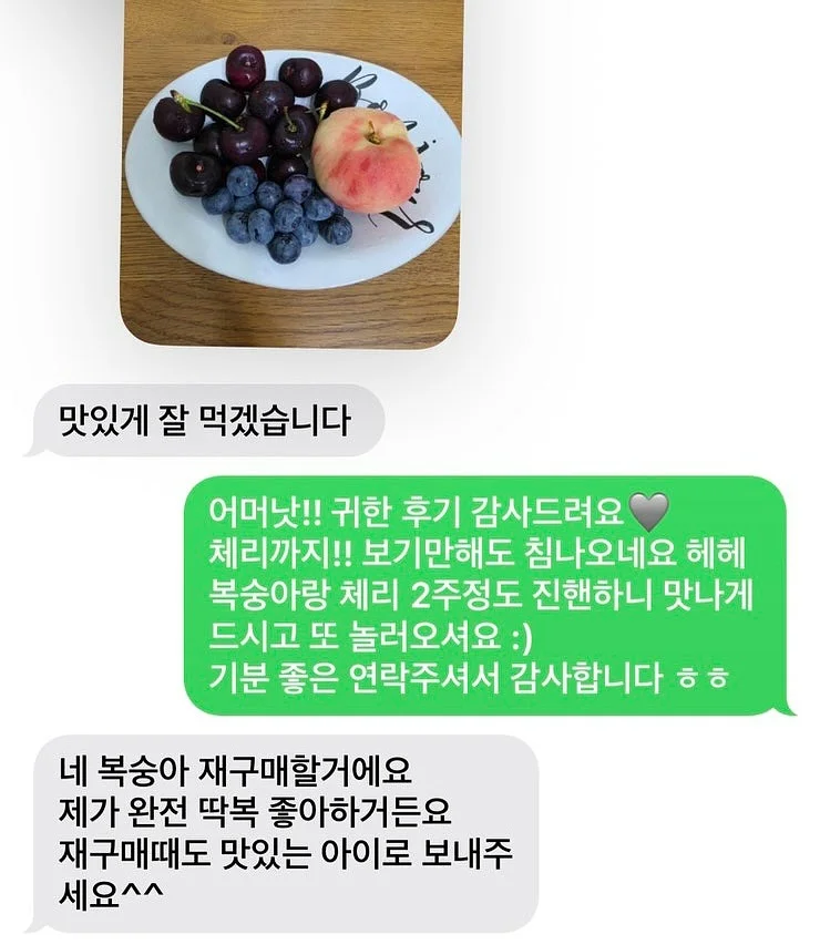 목련꽃 파이 4
