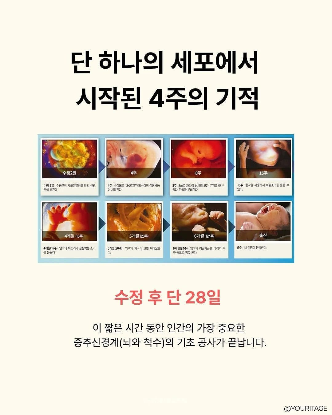 하이엔드 브랜드 의류 2