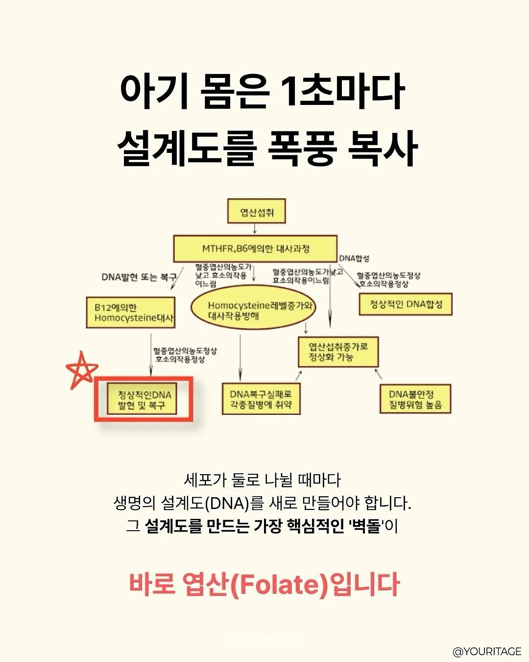 하이엔드 브랜드 의류 4