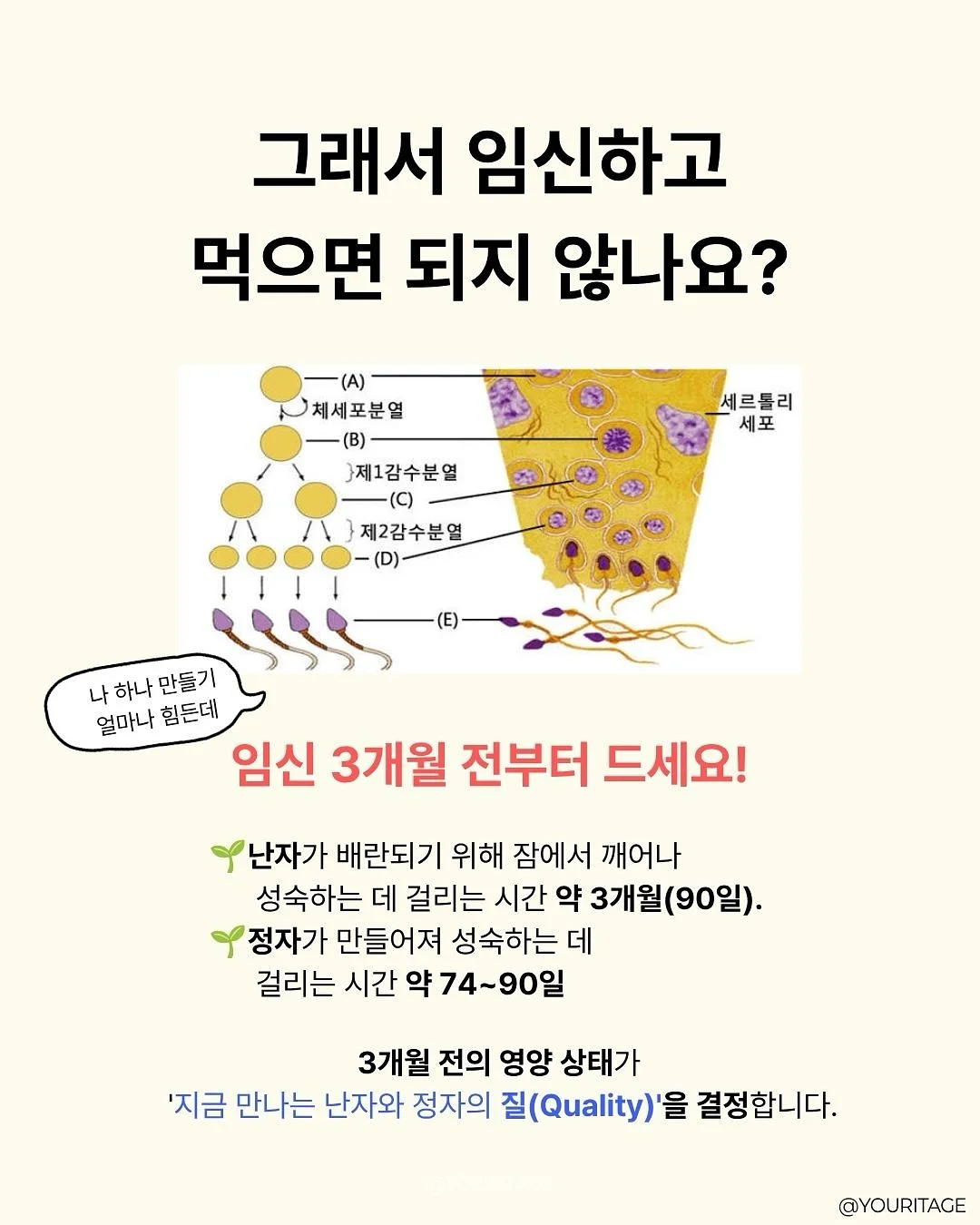 하이엔드 브랜드 의류 5