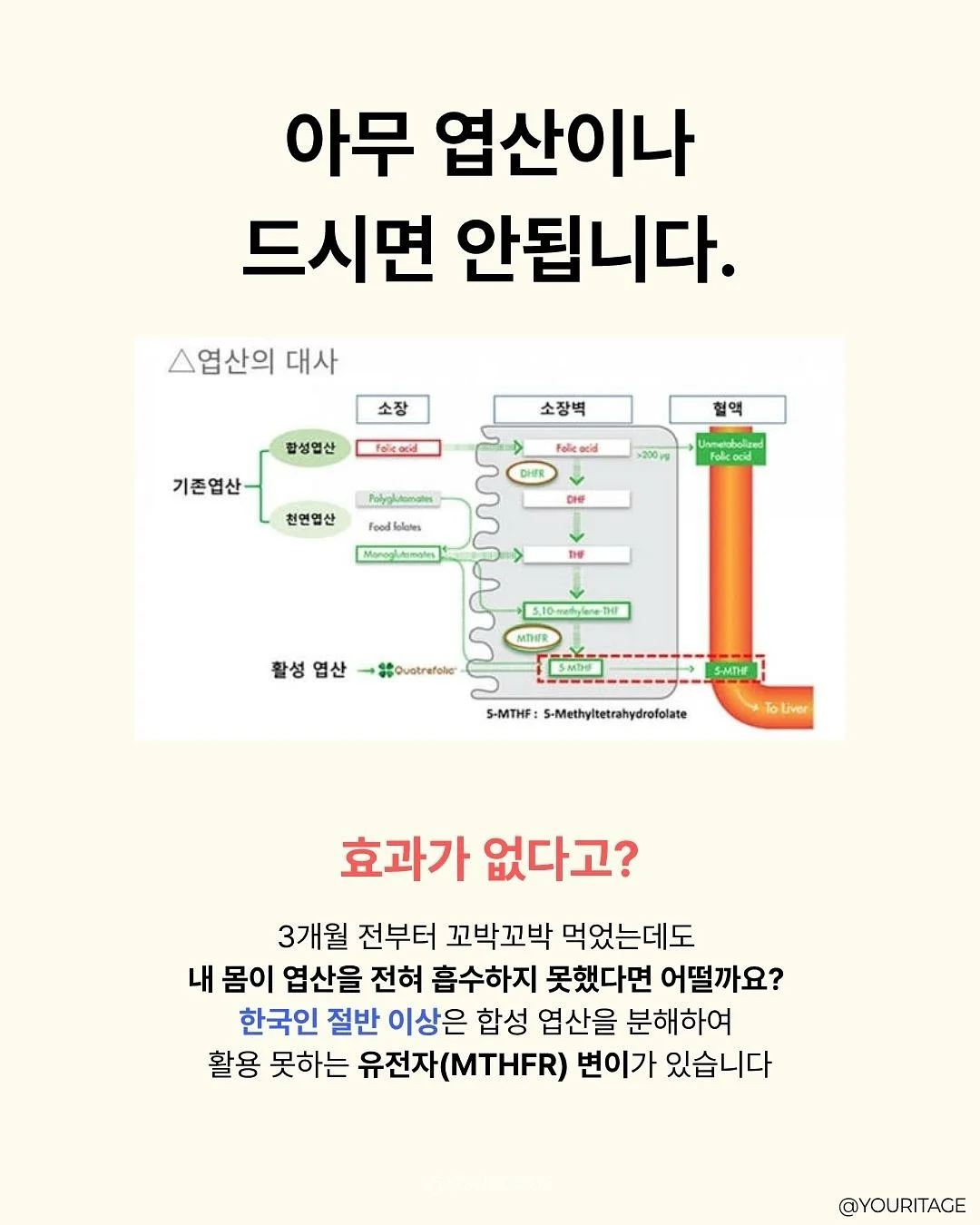 하이엔드 브랜드 의류 8