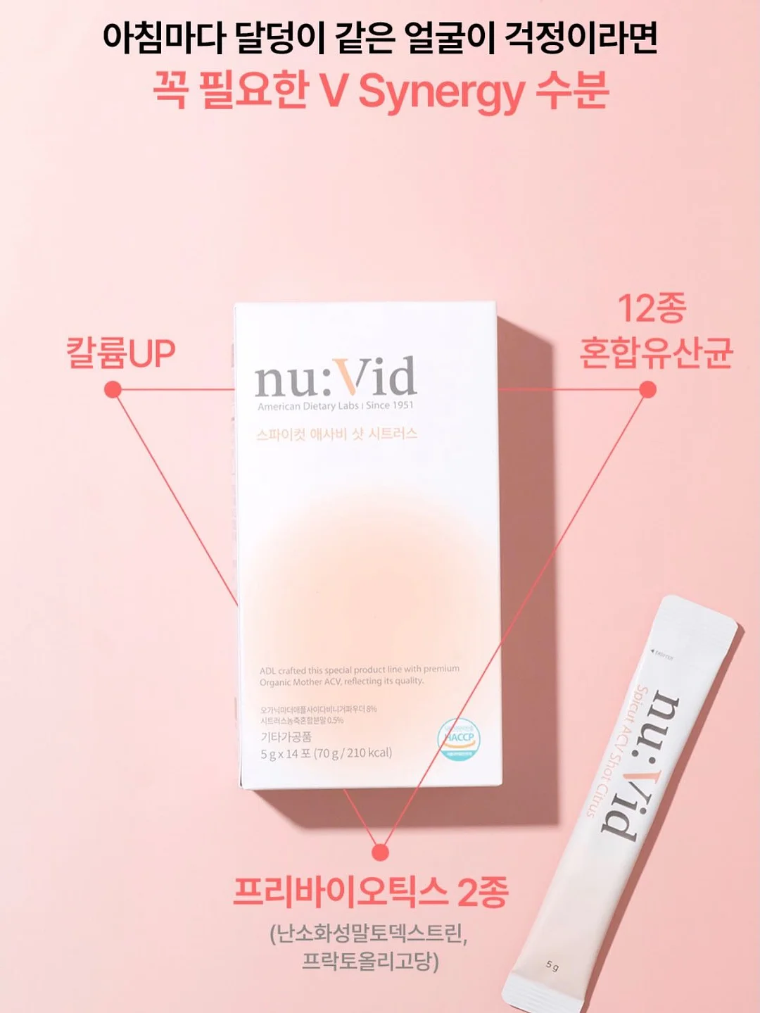 꿀 베이비 컨셉 촬영 6