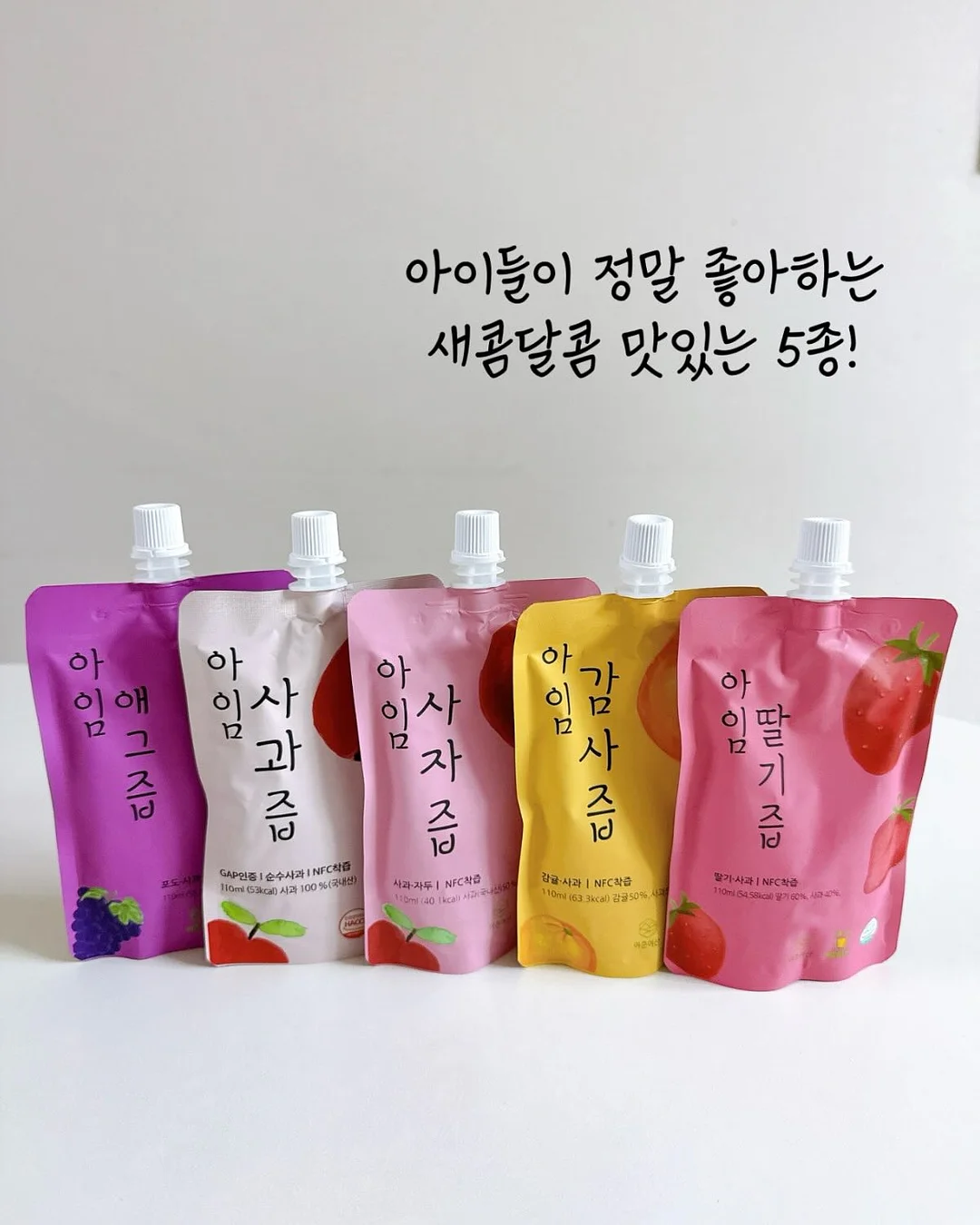 노탈리 4종 16