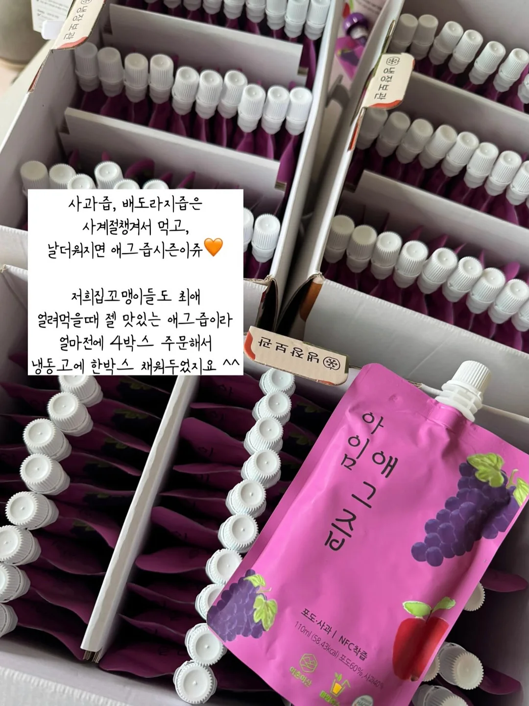 노탈리 4종 6