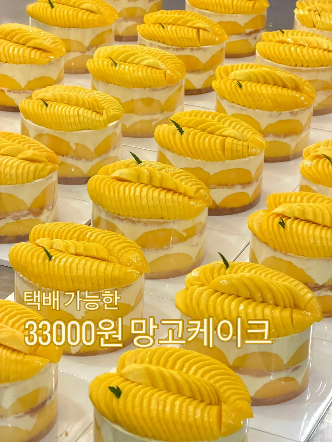 프리미엄 헤어캡