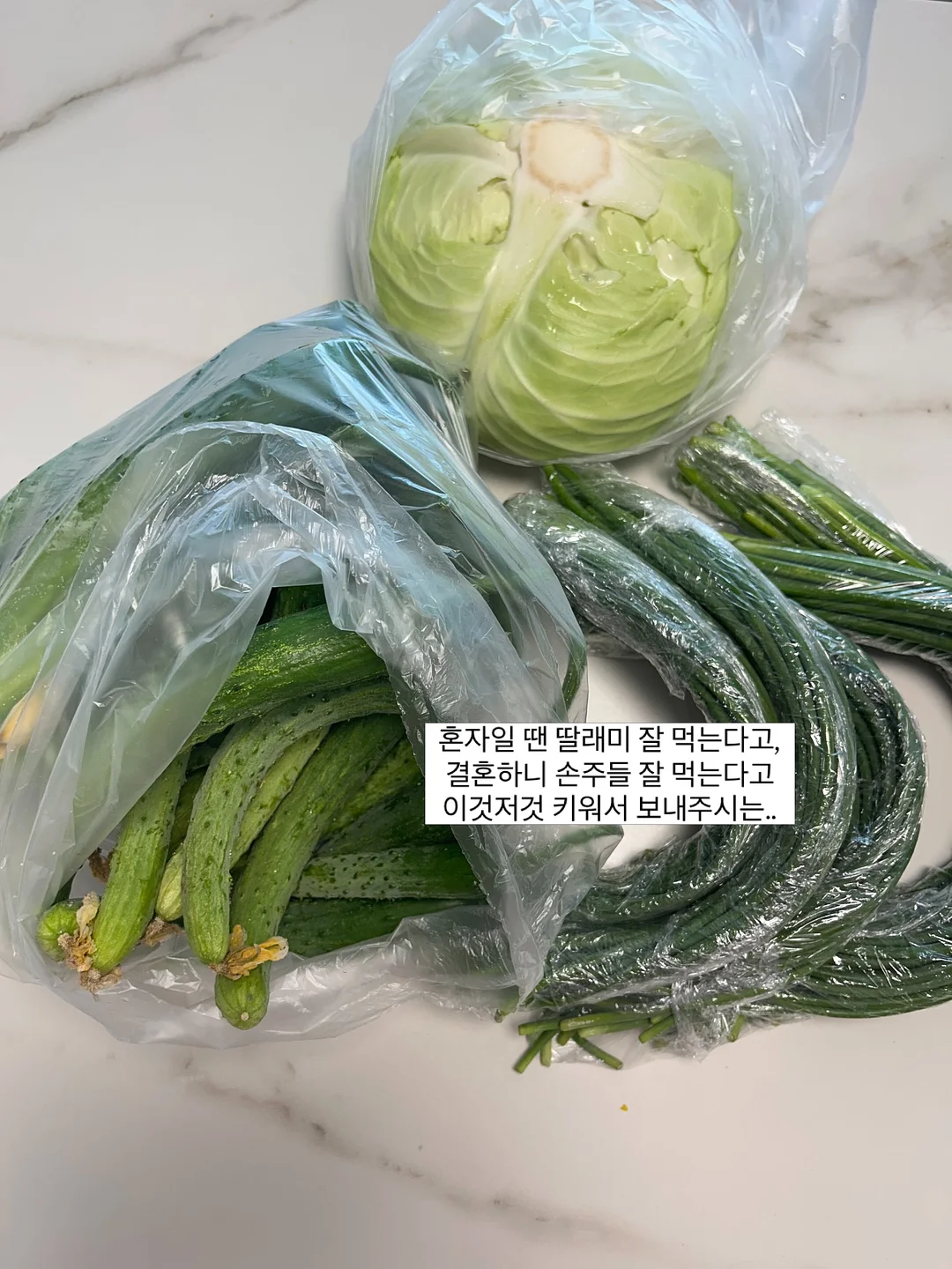 뷰앤디 앤모드프로 윤곽관리기 2