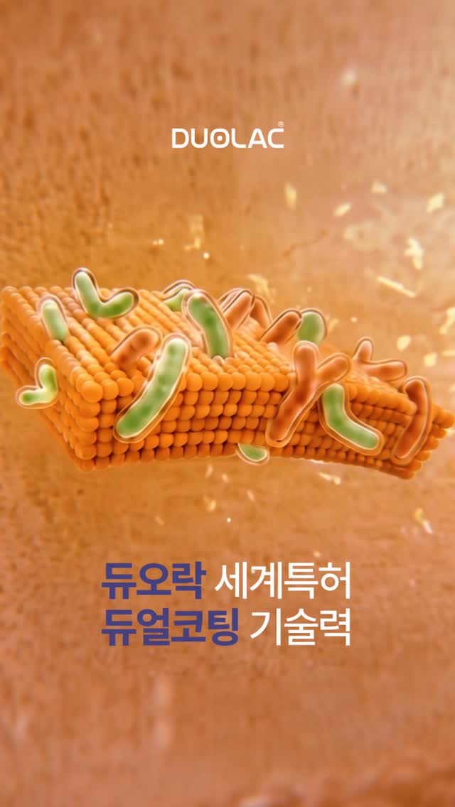 벌레 박멸 서비스