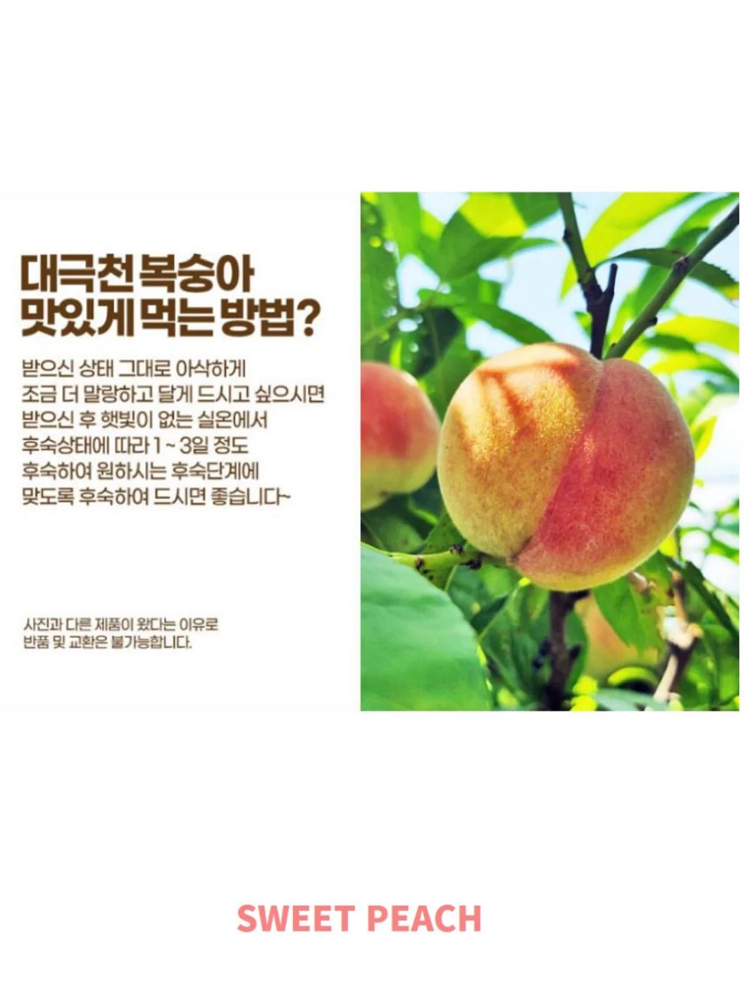 파티 신청 8