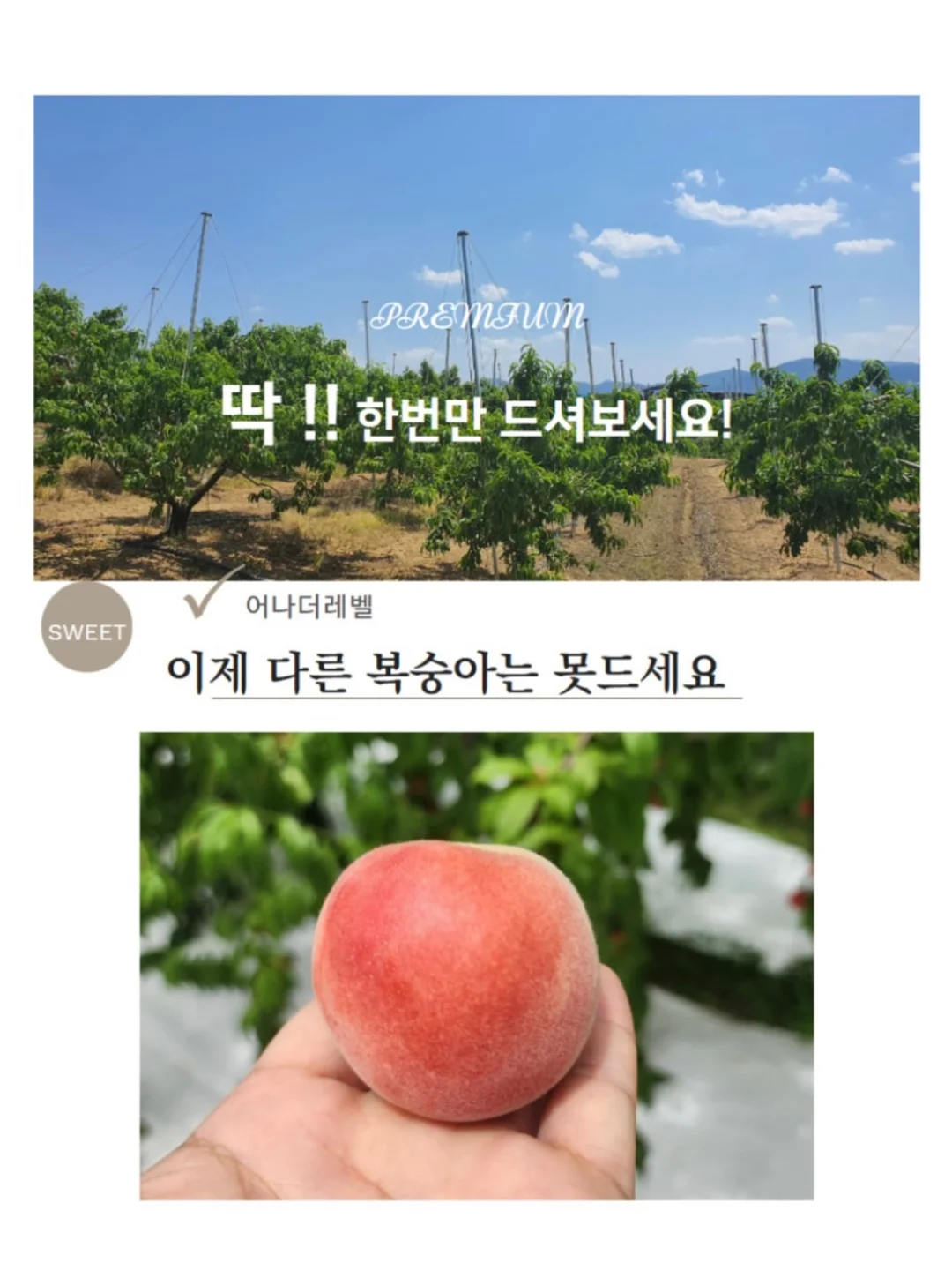파티 신청 9