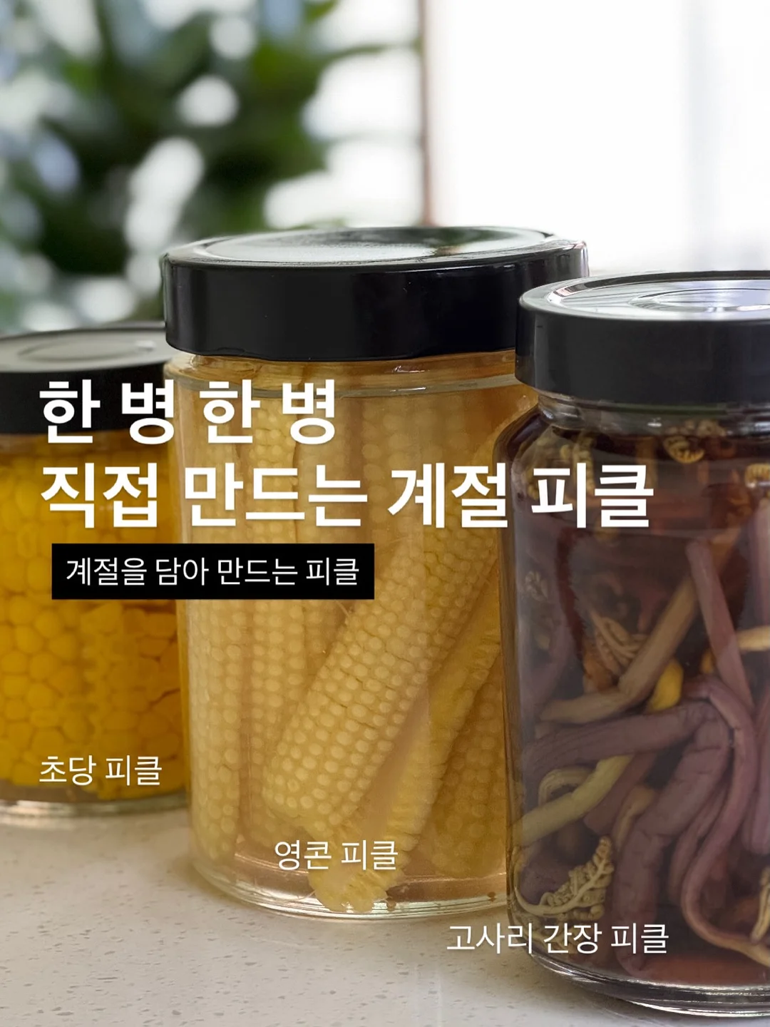 청년마블 스탬프런 2