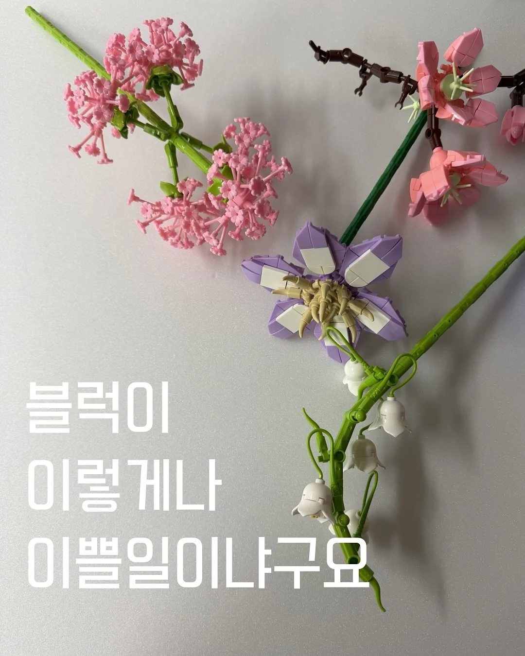 온라인 멘토링 신청 14