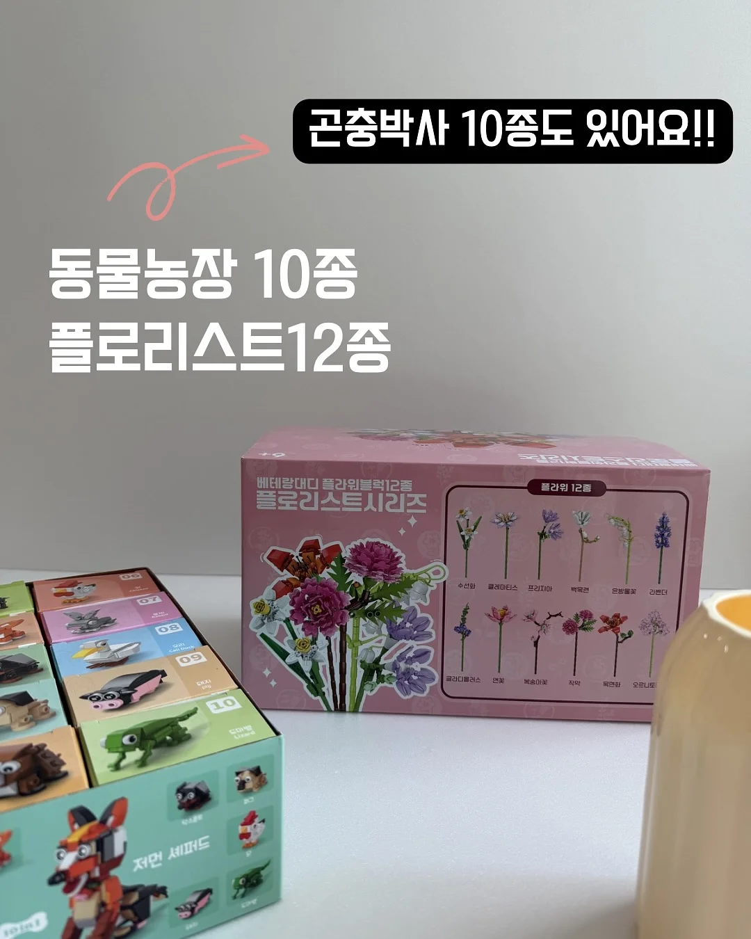 온라인 멘토링 신청 5