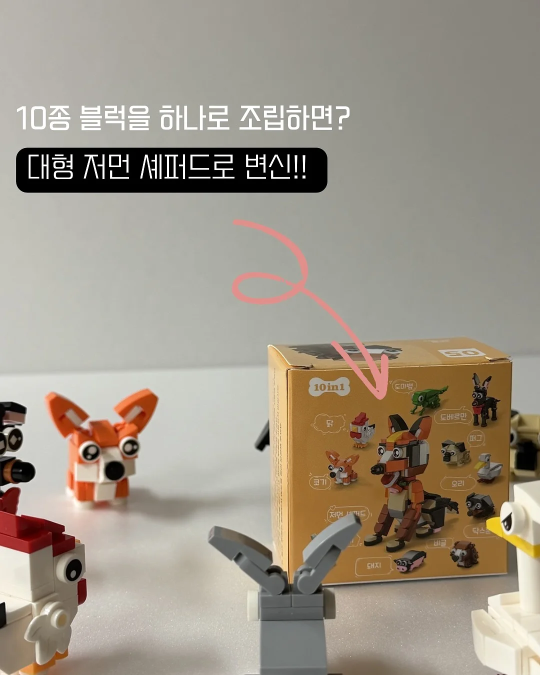 온라인 멘토링 신청 6