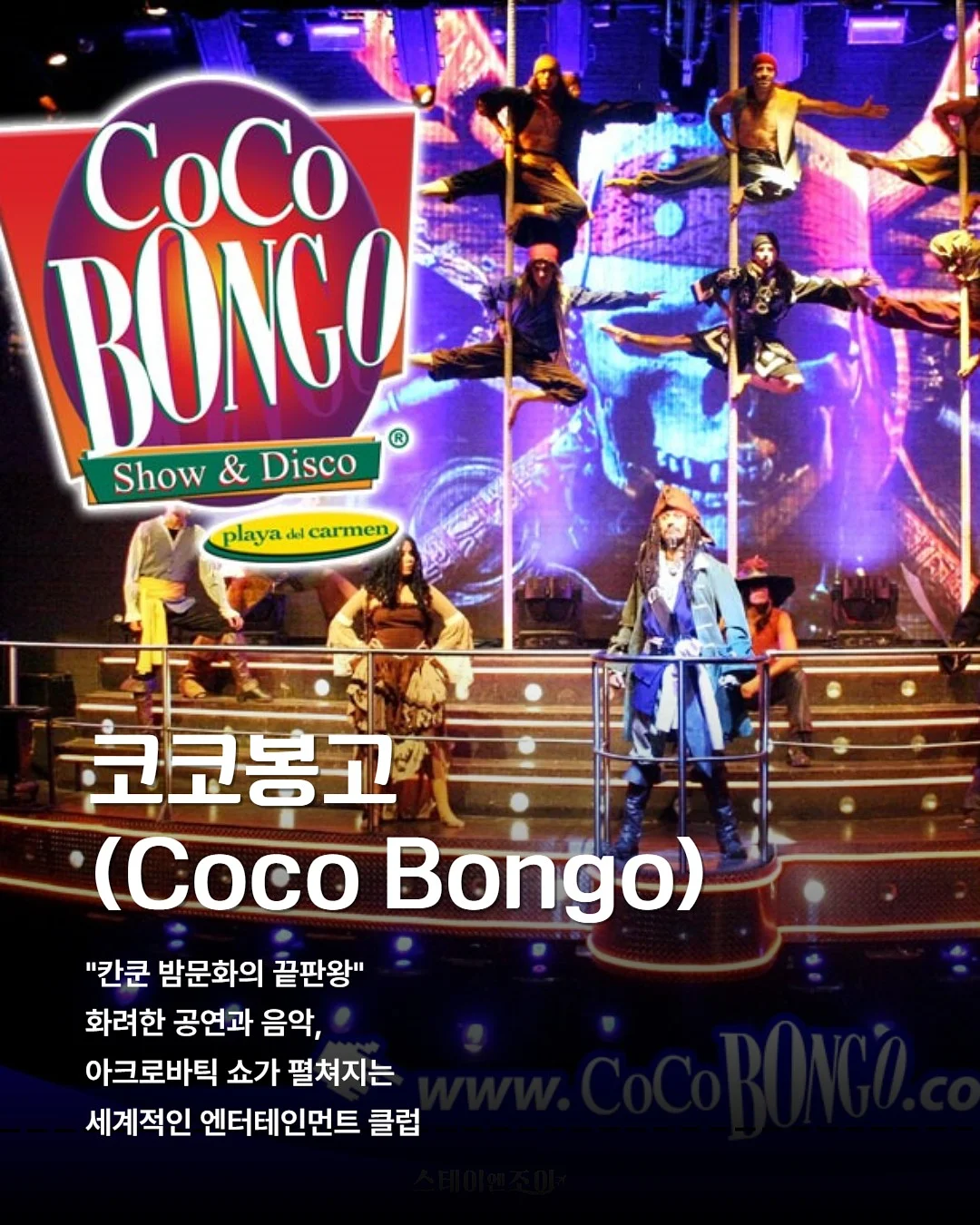세탁기 클리너 4