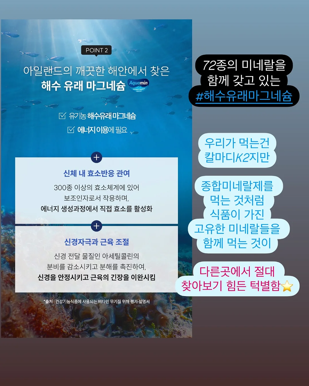 아몬드 쿠앤크 콘사 13