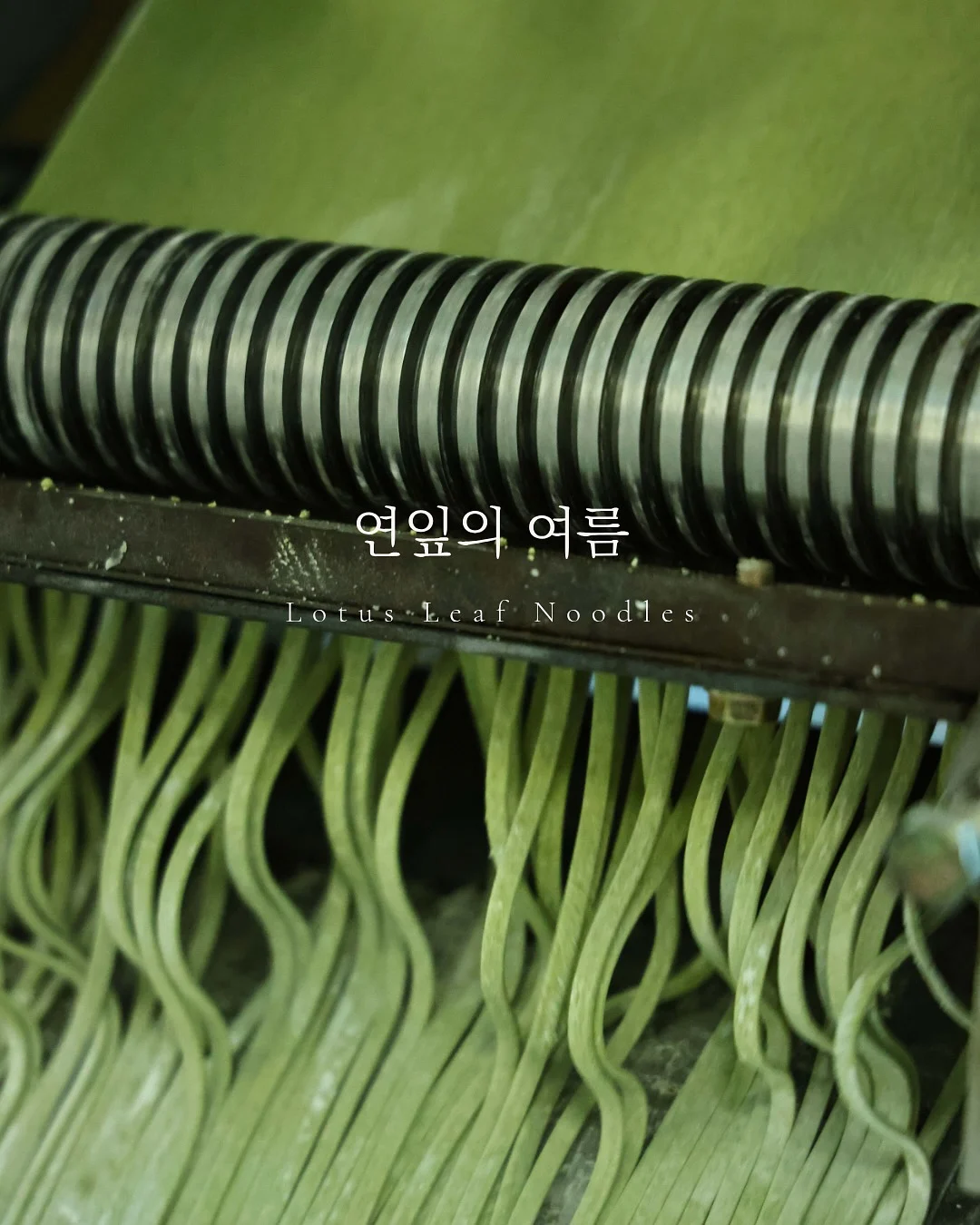 데님 셋업 1