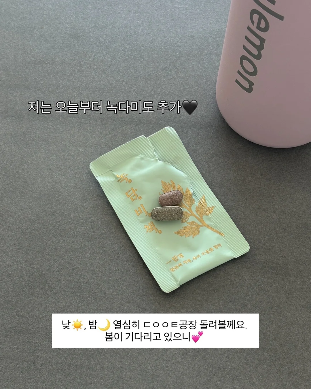 비키니 댕댕이 키링 14