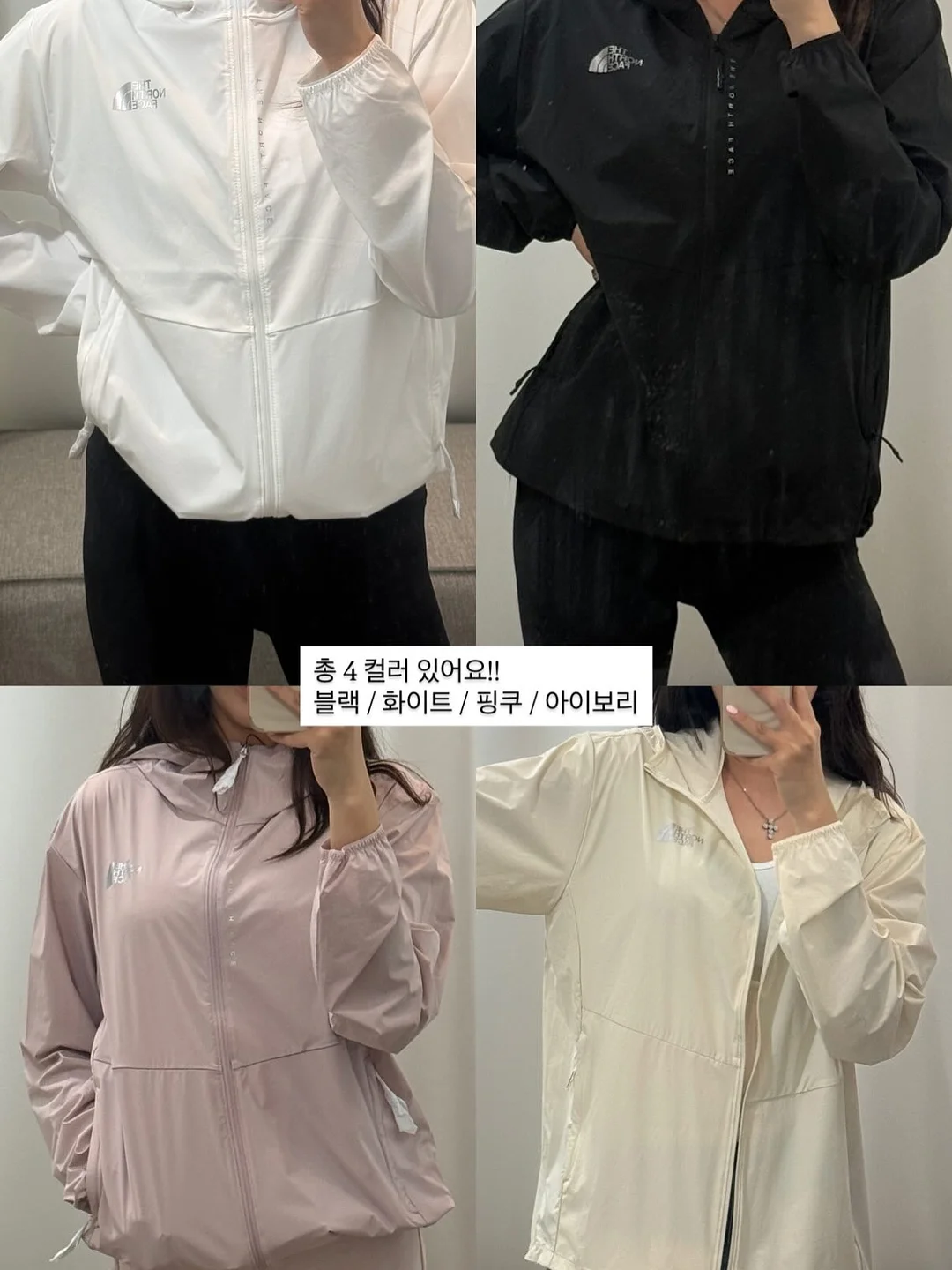 바이탈플랜트 롤팬 NEW 오리지널 2