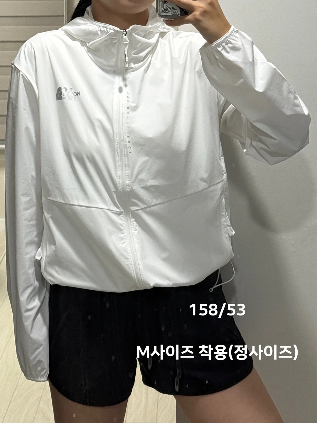 바이탈플랜트 롤팬 NEW 오리지널 4