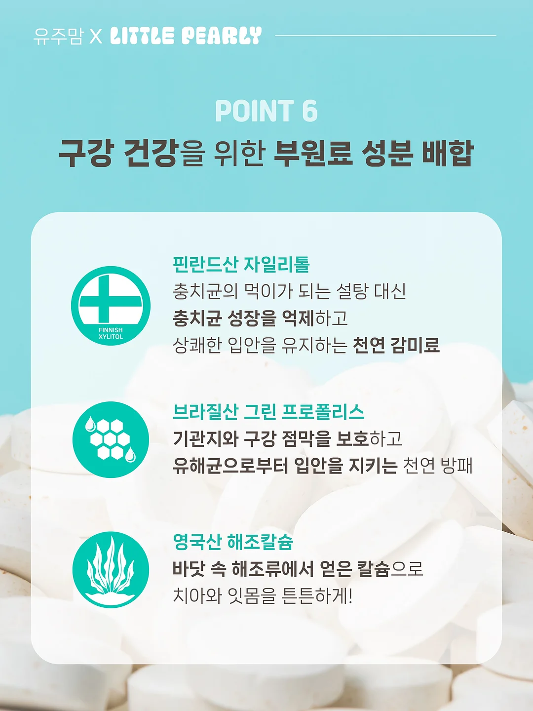 리치맛 양갱 11