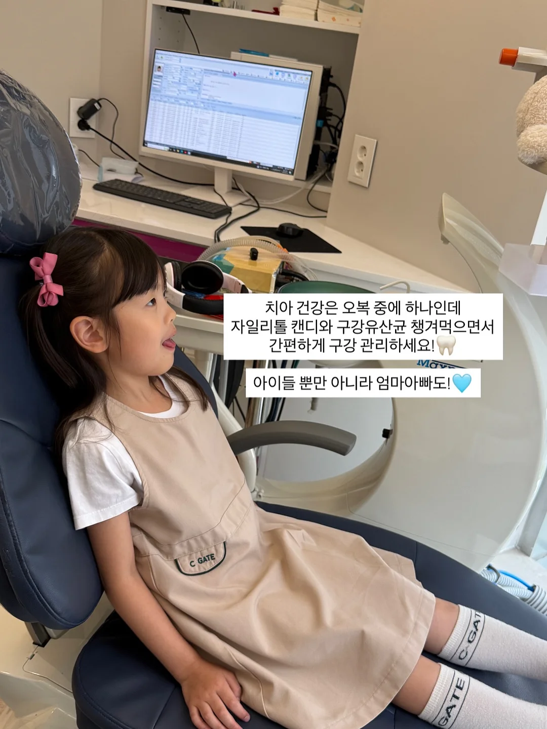 리치맛 양갱 15