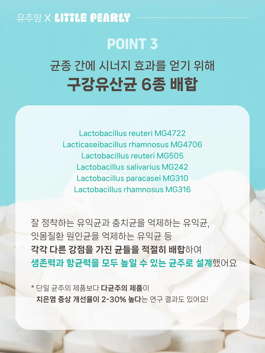 리치맛 양갱 8