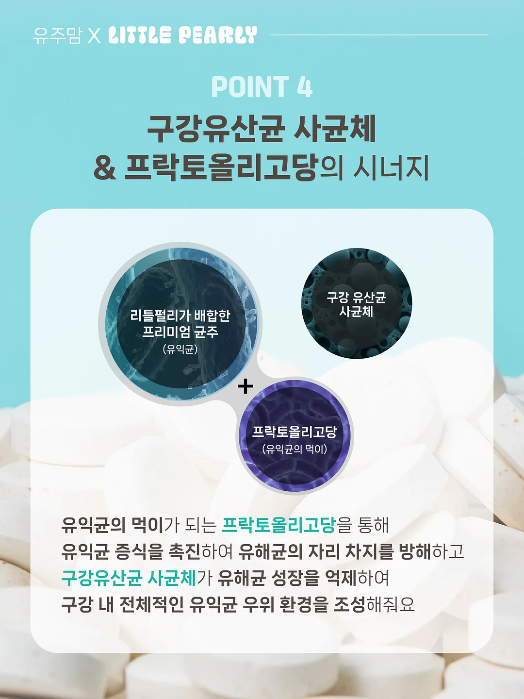 리치맛 양갱 9