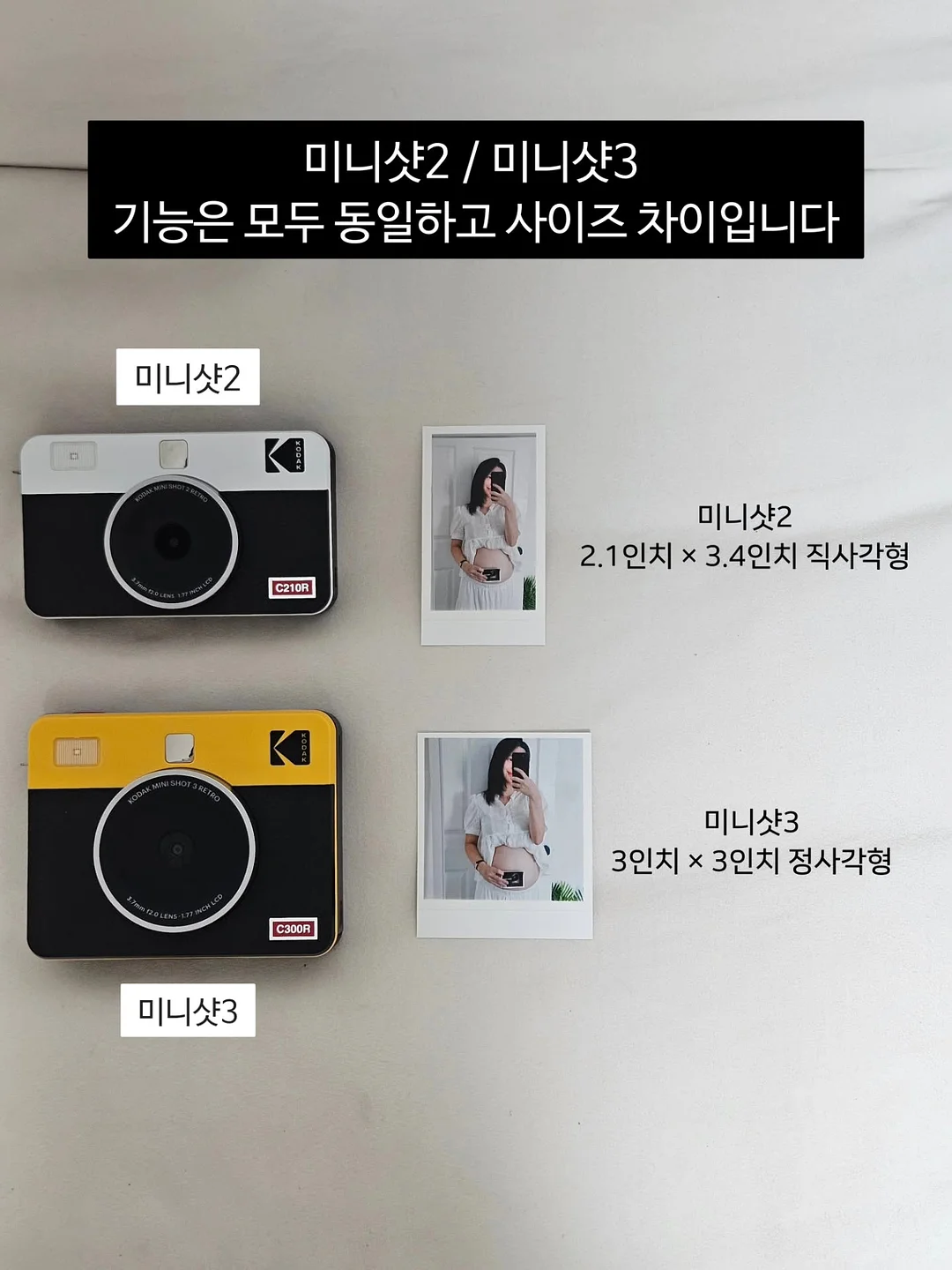 화분 5