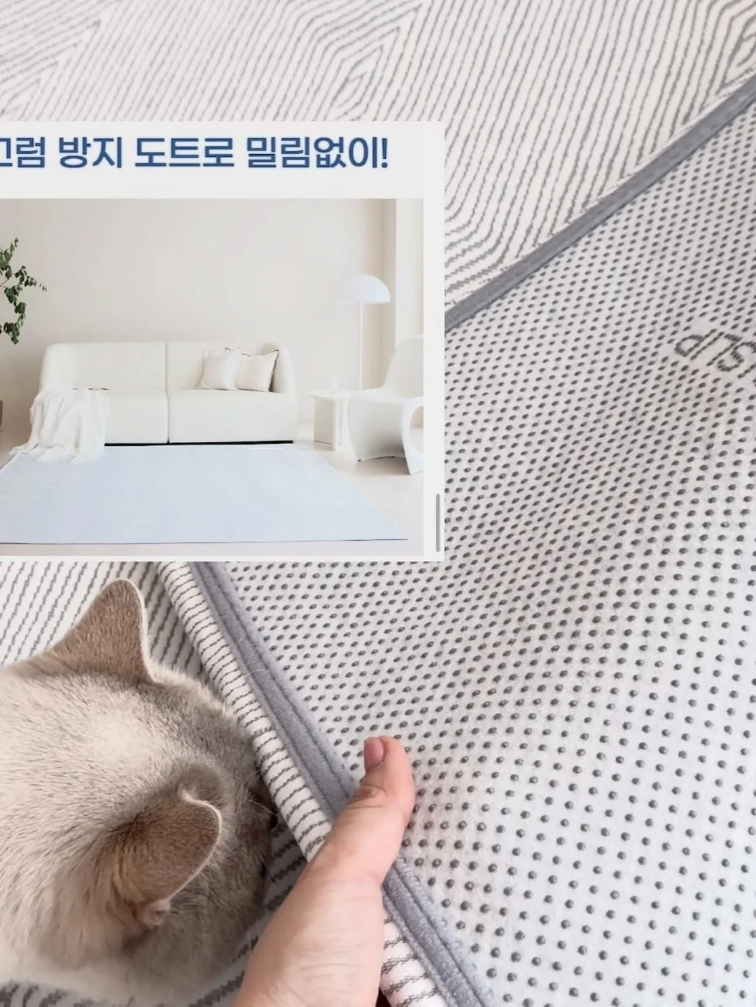 프로포즈 아크릴박스 16