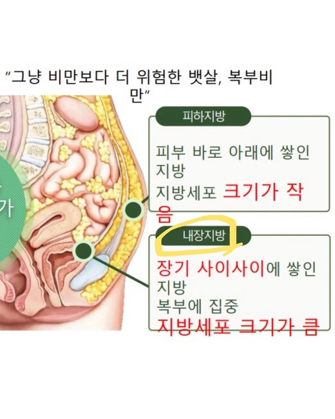수학책 13