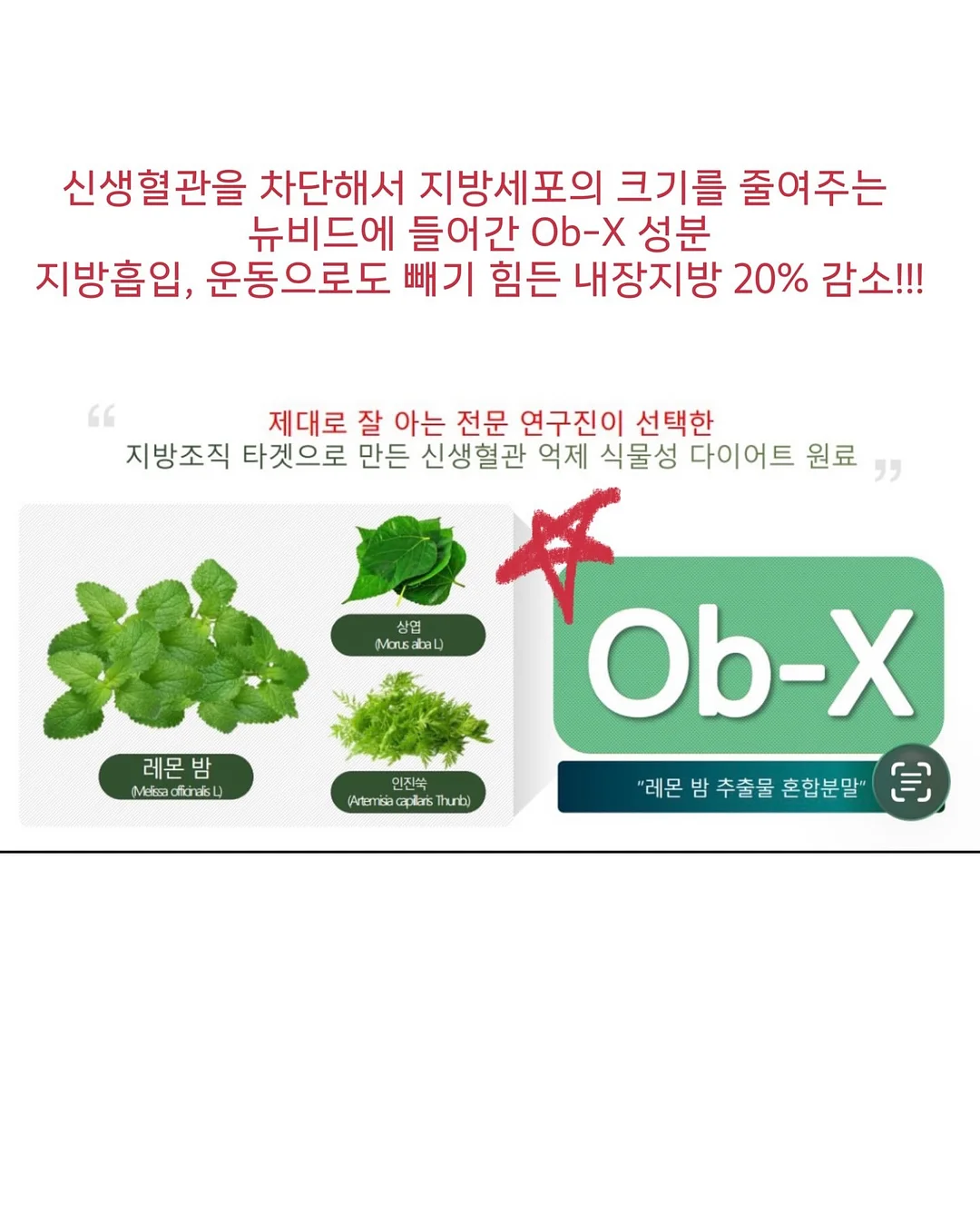 수학책 19
