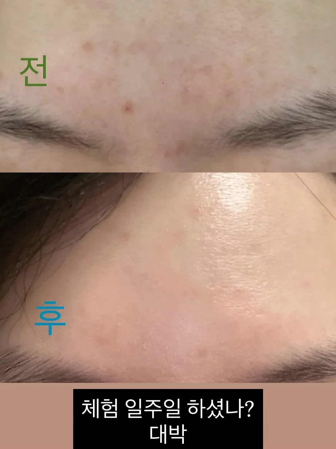 미야니시 다쓰야 작가 북토크 14