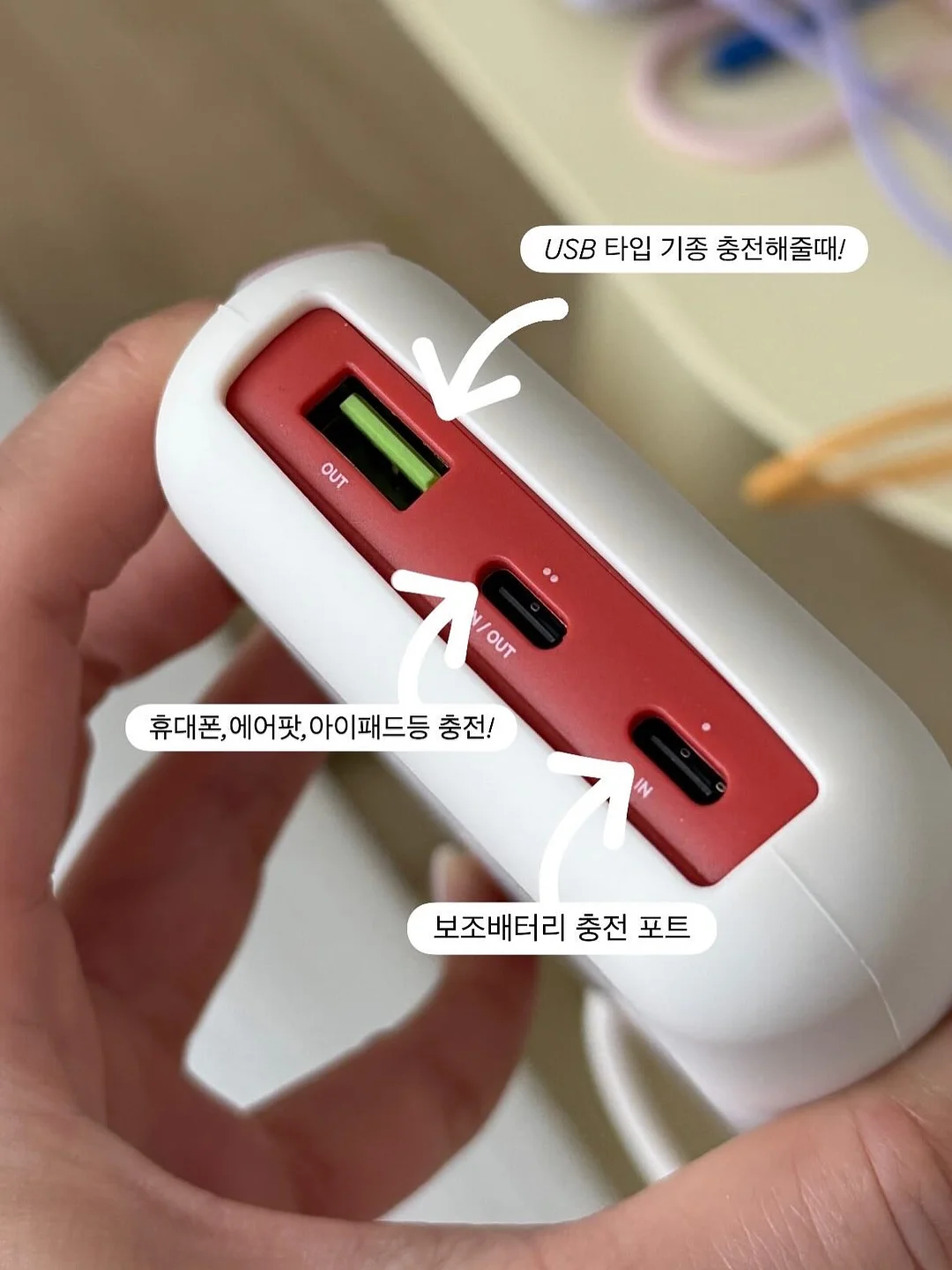 팔토시 5