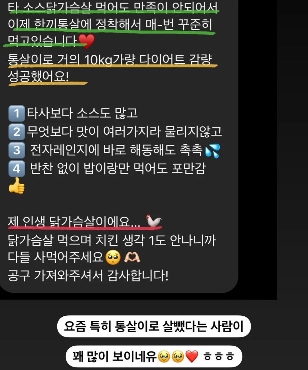 코랄리크 셔츠형 래쉬가드 셋업 17