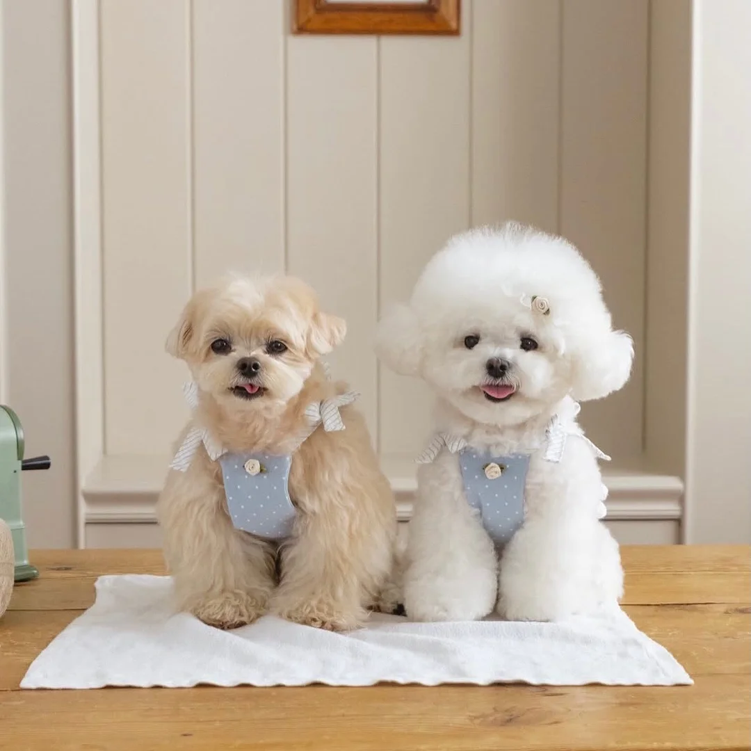 돌멘베이커리 비건 말차 식빵 3