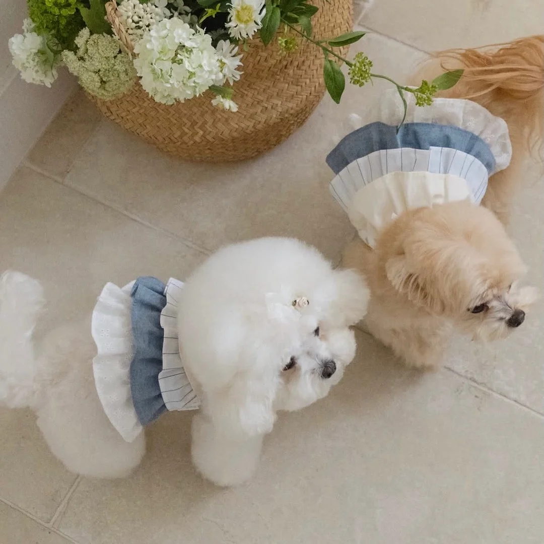 돌멘베이커리 비건 말차 식빵 8