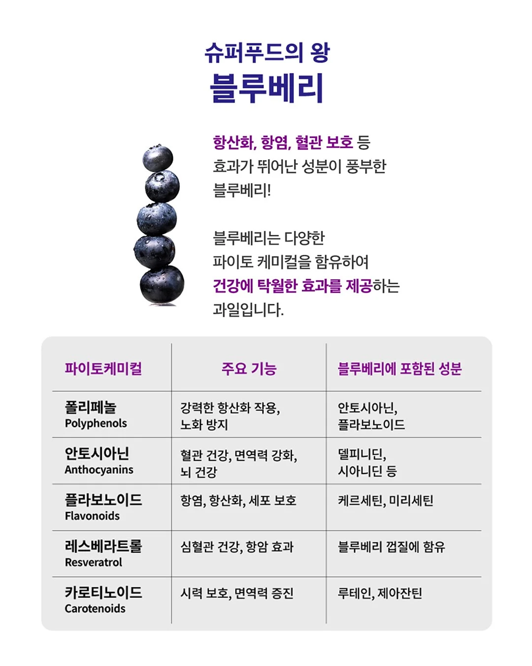 알레피아 블랙솝+케사 장갑 세트 11