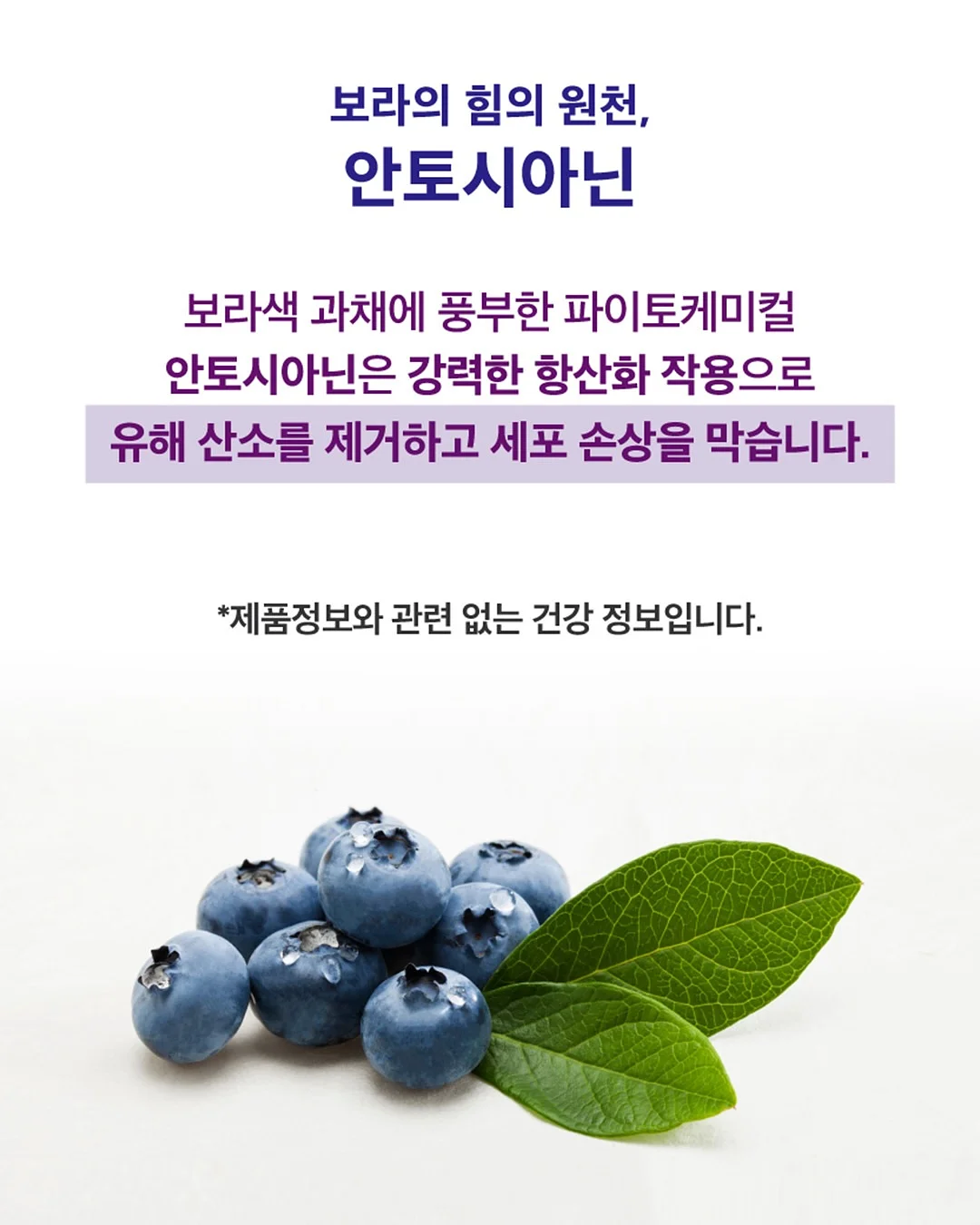 알레피아 블랙솝+케사 장갑 세트 12